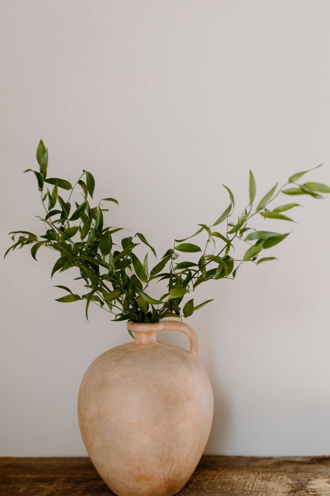 Green Plant in Beige Clay Jar